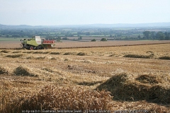 Fields below Swell