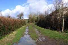 Green Lane, Fivehead