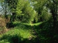 Stillbrook Lane, Fivehead