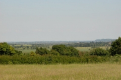 DSCN2388