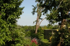 DSCN2400