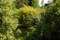 DSCN2410