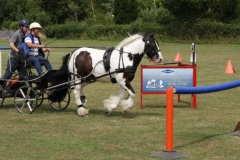 Horse and Cart Straight