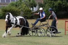 Horse and Cart turning left