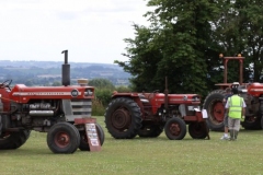 Three old Massey Ferguson Tractors